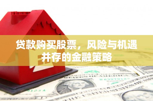 巨野贷款购买股票，风险与机遇并存的金融策略
