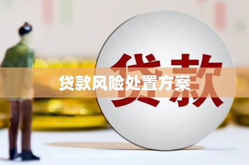 巨野贷款风险处置方案