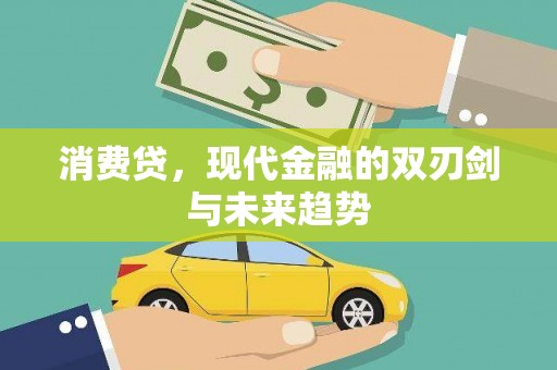 巨野消费贷，现代金融的双刃剑与未来趋势