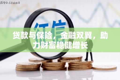 巨野贷款与保险，金融双翼，助力财富稳健增长
