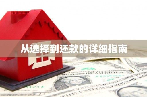 巨野从选择到还款的详细指南