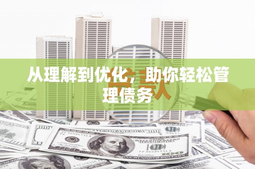 巨野从理解到优化，助你轻松管理债务