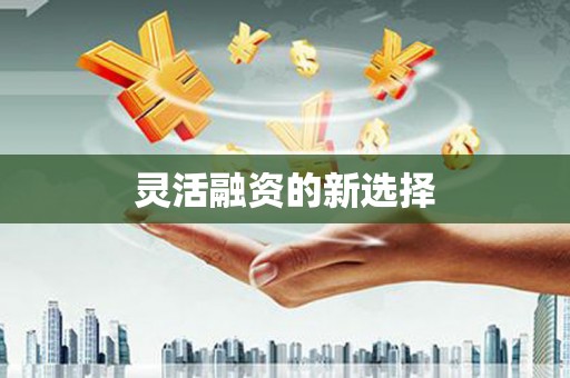 巨野灵活融资的新选择