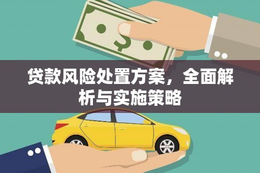 巨野贷款风险处置方案，全面解析与实施策略