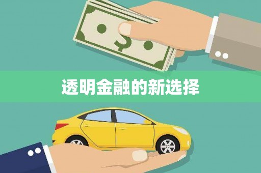 巨野透明金融的新选择