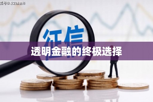 巨野透明金融的终极选择