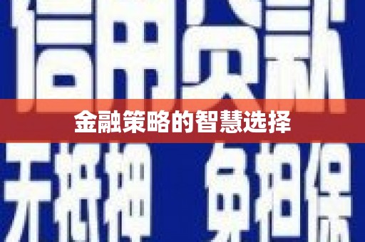 巨野金融策略的智慧选择