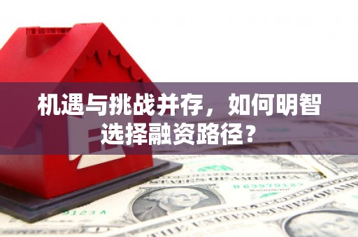 巨野机遇与挑战并存，如何明智选择融资路径？