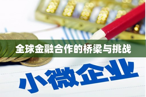 巨野全球金融合作的桥梁与挑战
