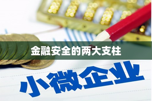 巨野金融安全的两大支柱