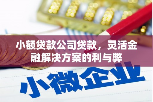 巨野小额贷款公司贷款，灵活金融解决方案的利与弊