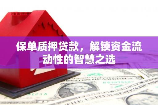 巨野保单质押贷款，解锁资金流动性的智慧之选